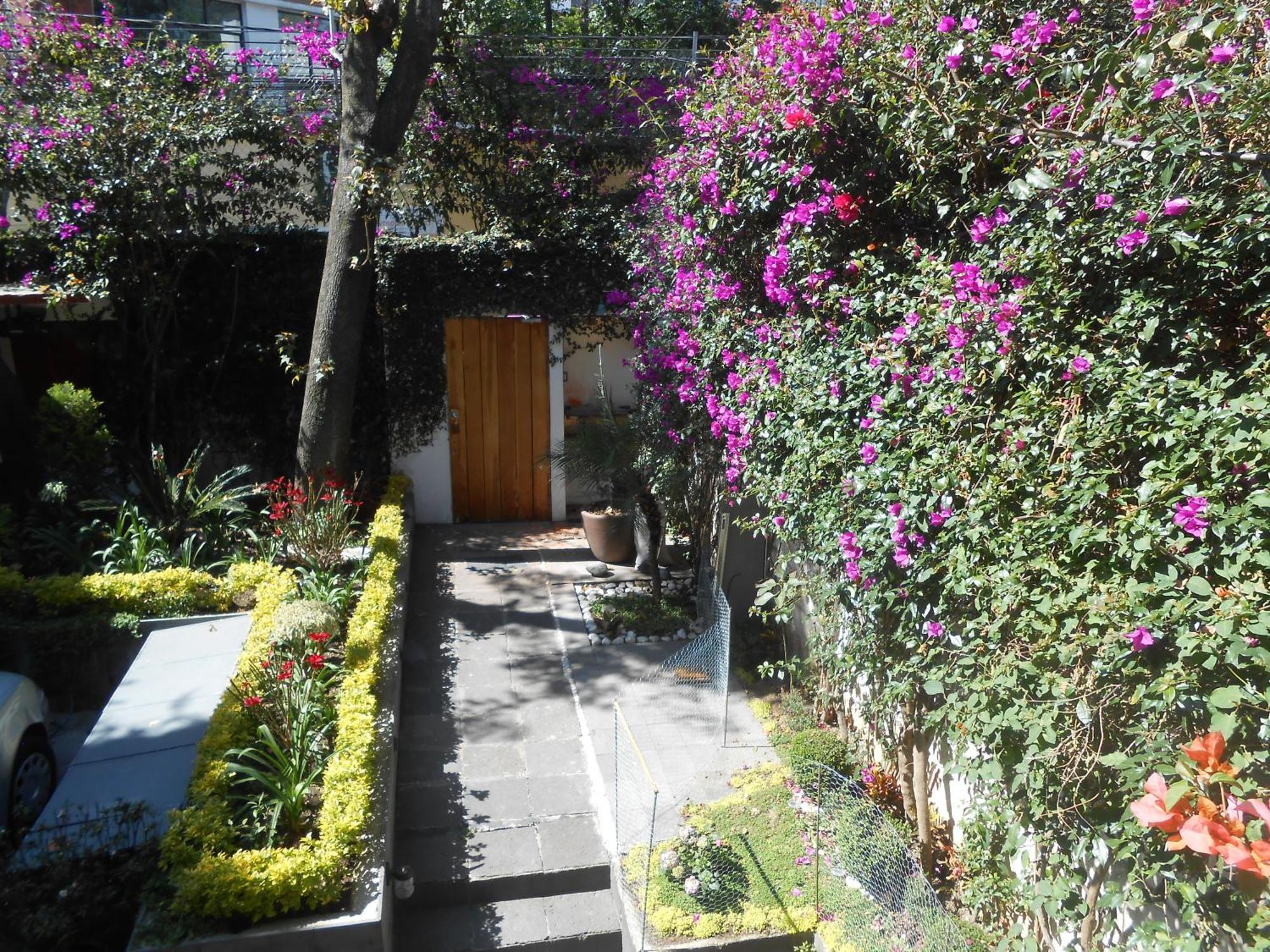 Terraza & Loft San Angel Apartment เม็กซิโกซิตี้ ภายนอก รูปภาพ