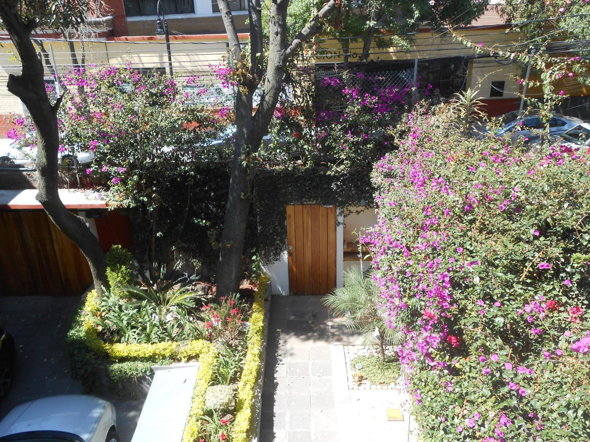 Terraza & Loft San Angel Apartment เม็กซิโกซิตี้ ภายนอก รูปภาพ