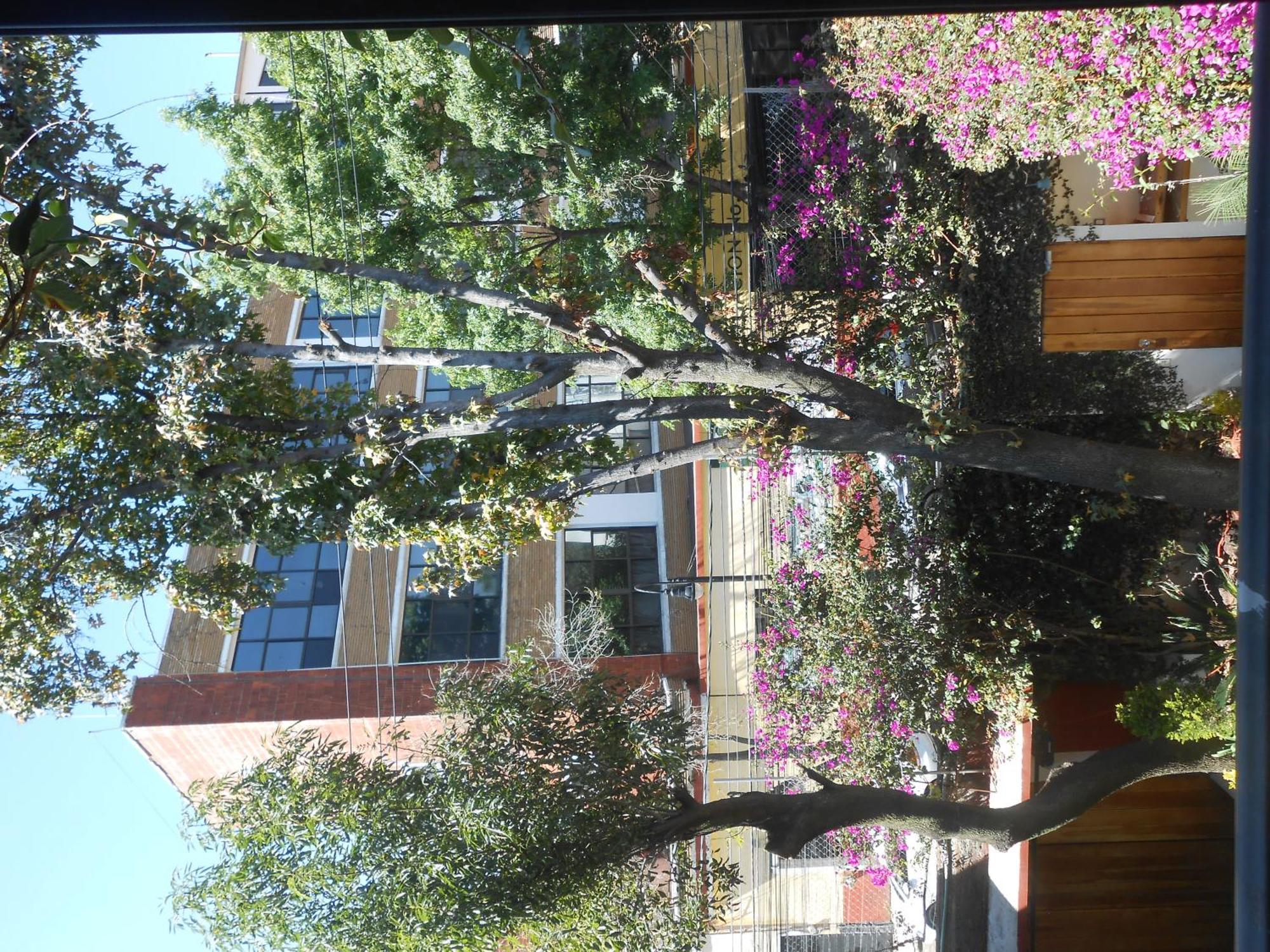 Terraza & Loft San Angel Apartment เม็กซิโกซิตี้ ภายนอก รูปภาพ