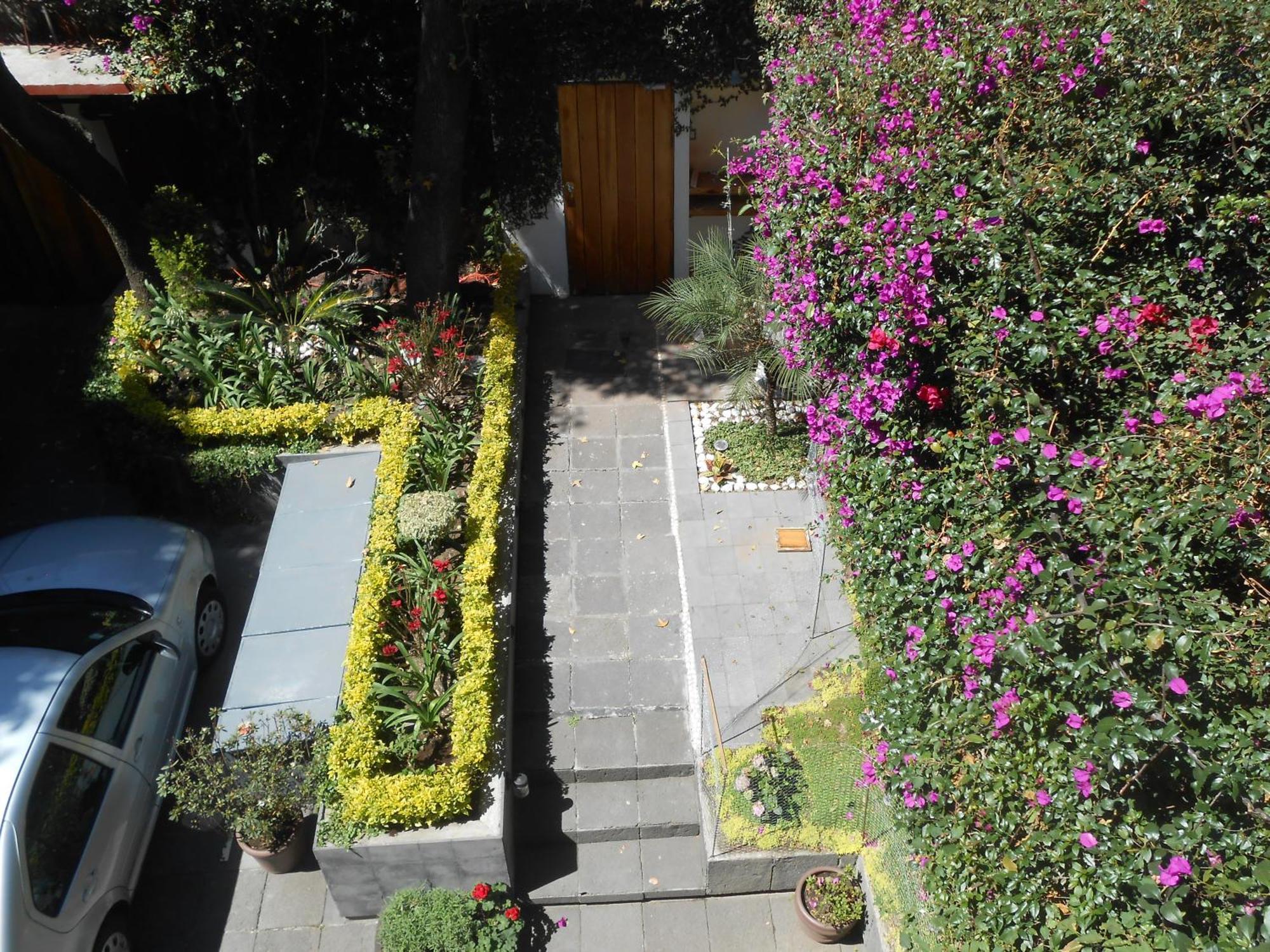 Terraza & Loft San Angel Apartment เม็กซิโกซิตี้ ภายนอก รูปภาพ