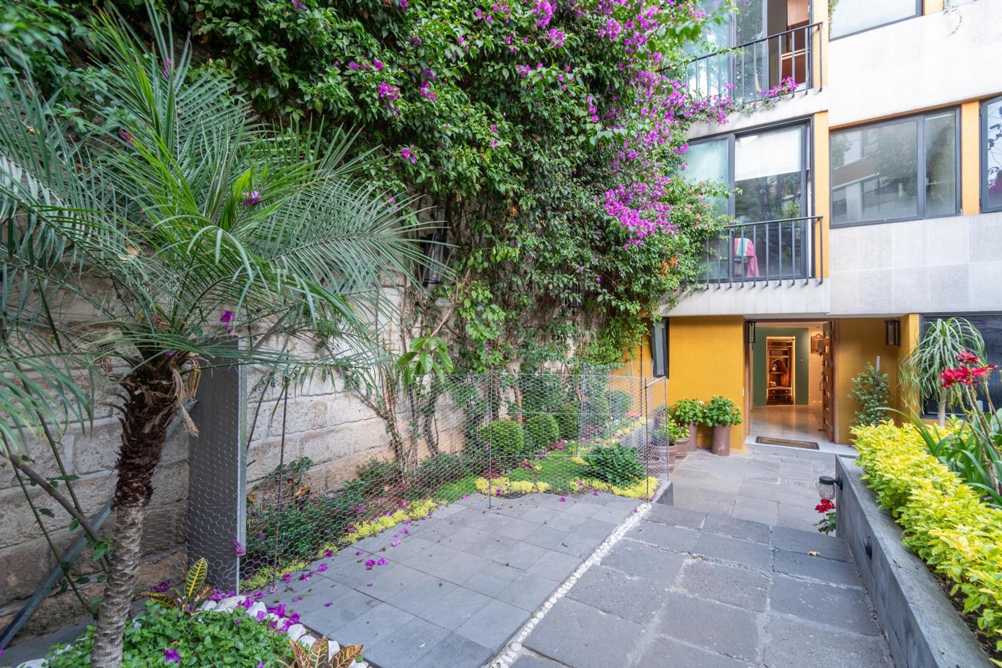 Terraza & Loft San Angel Apartment เม็กซิโกซิตี้ ภายนอก รูปภาพ