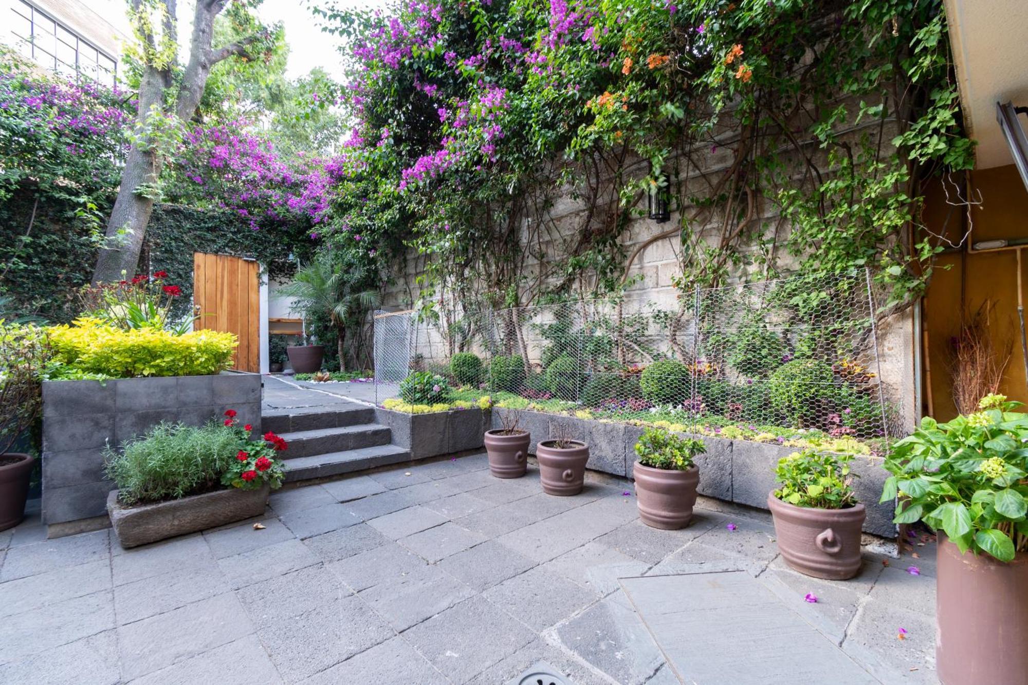 Terraza & Loft San Angel Apartment เม็กซิโกซิตี้ ภายนอก รูปภาพ