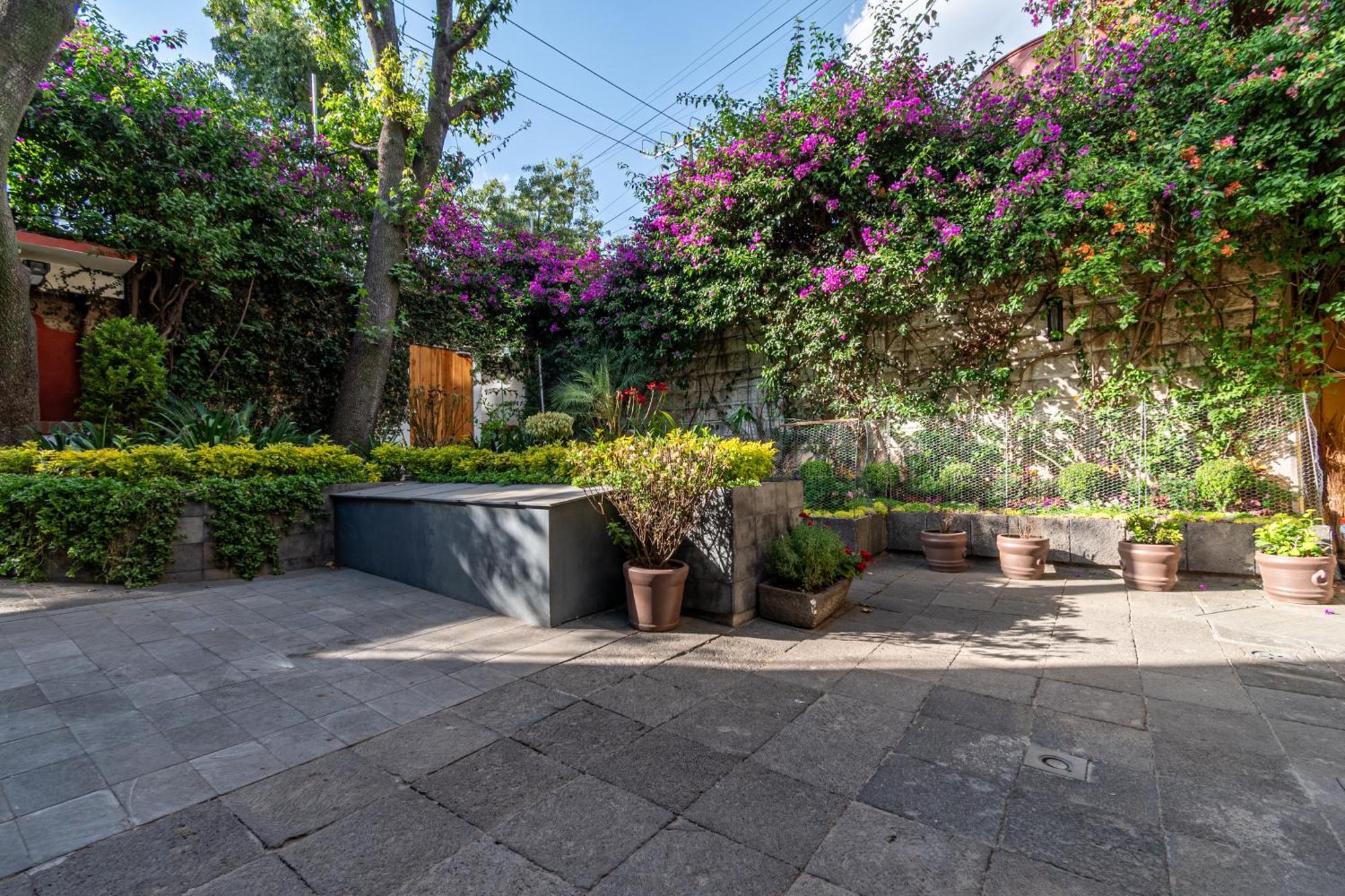 Terraza & Loft San Angel Apartment เม็กซิโกซิตี้ ภายนอก รูปภาพ