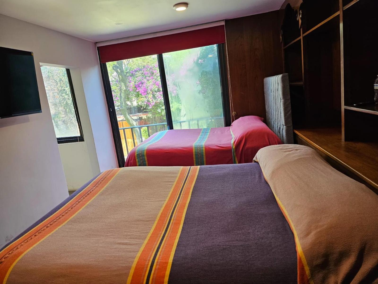 Terraza & Loft San Angel Apartment เม็กซิโกซิตี้ ภายนอก รูปภาพ